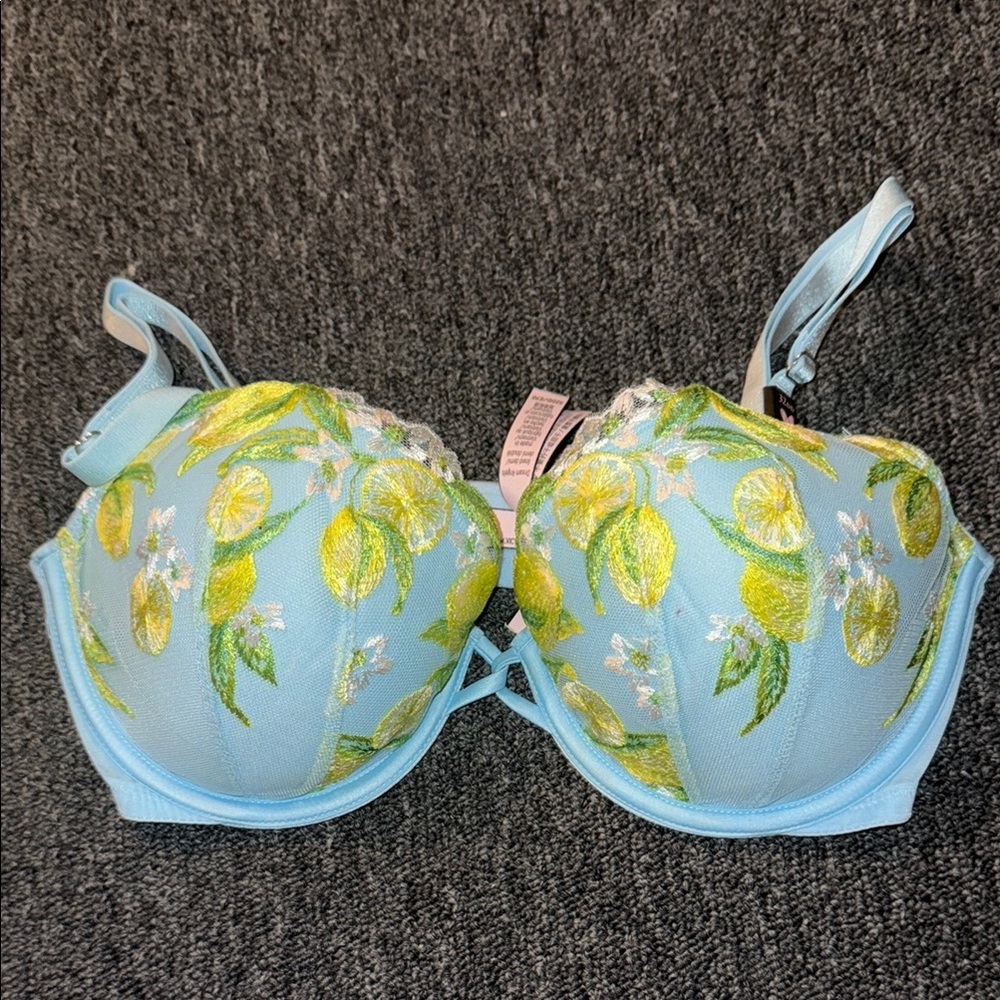 Floral Embroidered Bra - Blue